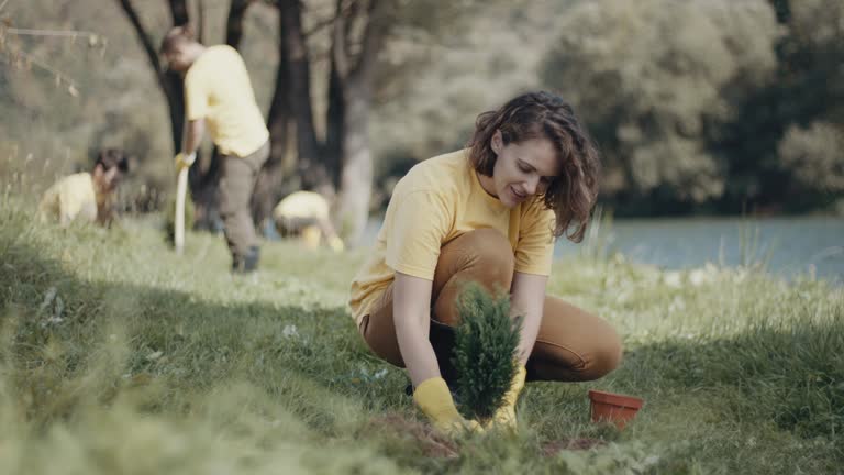 Best Lawn Drainage Solutions  in Santa Cruz, CA