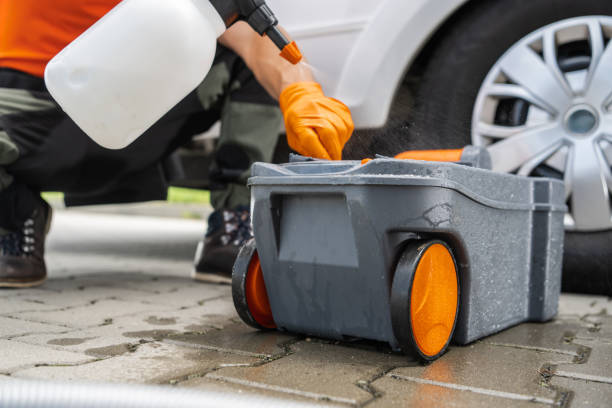 Best Arborist Consultation Services  in Santa Cruz, CA